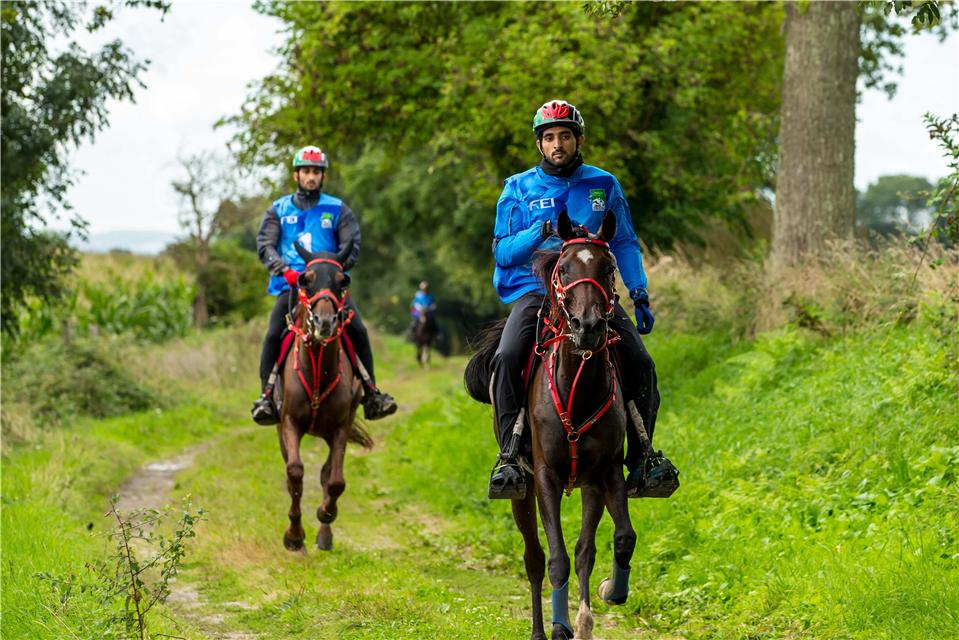 Hamdan bin Mohammed strikes gold in France