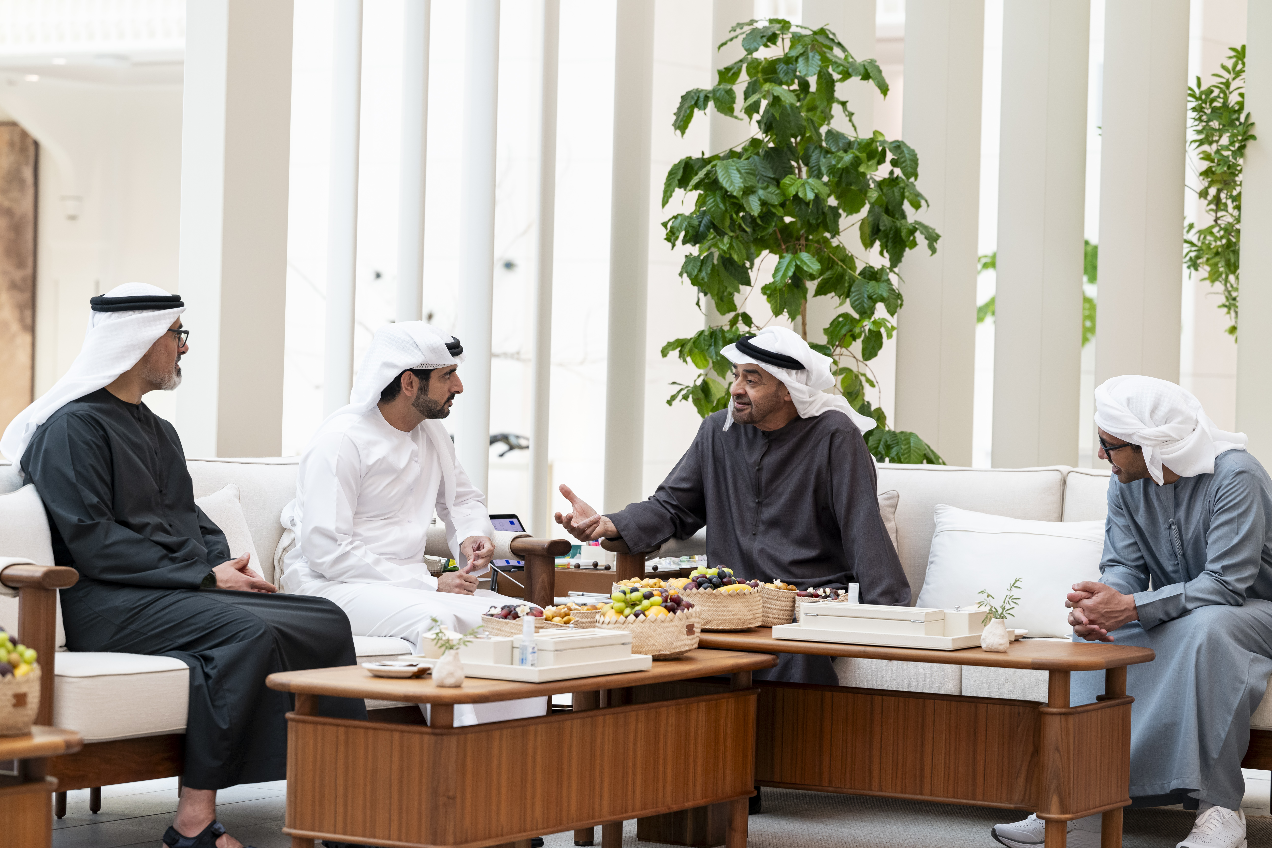 UAE President receives Sheikh Hamdan bin Mohammed